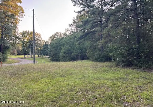 Homes for sale in Mc Comb, MS | Lot #3 Park Pl, Mc Comb, MS 39648 | MLS# 4147734