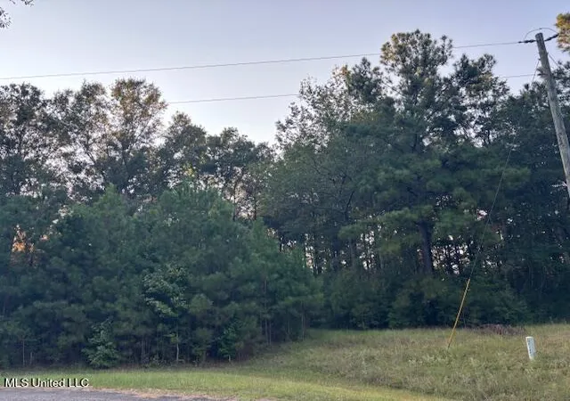 Homes for sale in Mc Comb, MS | Lot #3 Park Pl, Mc Comb, MS 39648 | MLS# 4147734