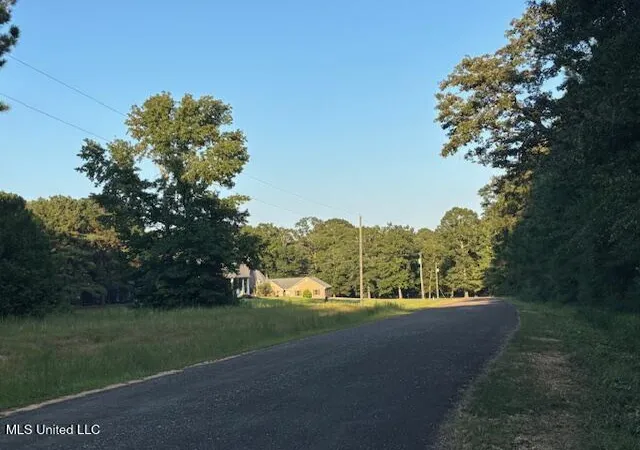 Homes for sale in Mc Comb, MS | Lot #3 Park Pl, Mc Comb, MS 39648 | MLS# 4147734