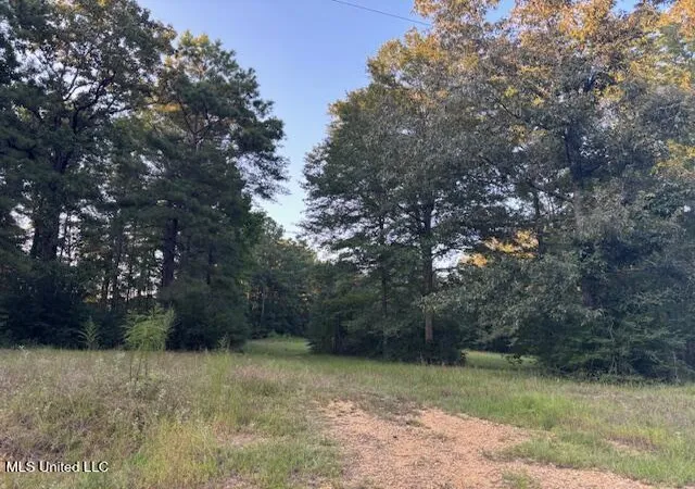 Homes for sale in Mc Comb, MS | Lot #3 Park Pl, Mc Comb, MS 39648 | MLS# 4147734