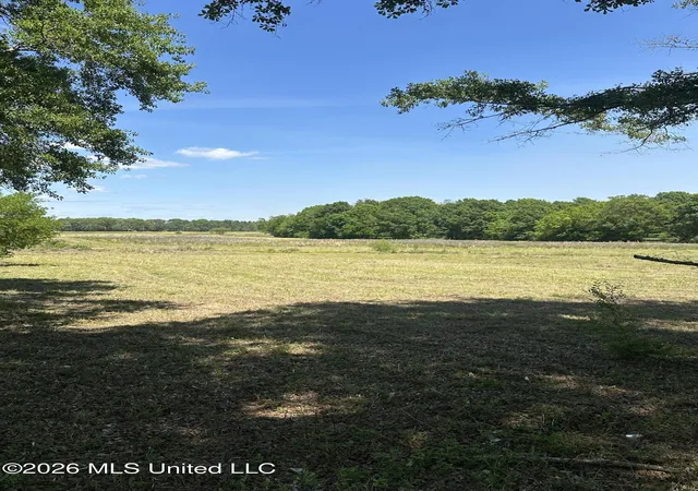 Photo 1 of Land for sale at Holly Bush Rd, Brandon, MS 39047 | MLS# 4147831 | Listing updated on 2026-05-01