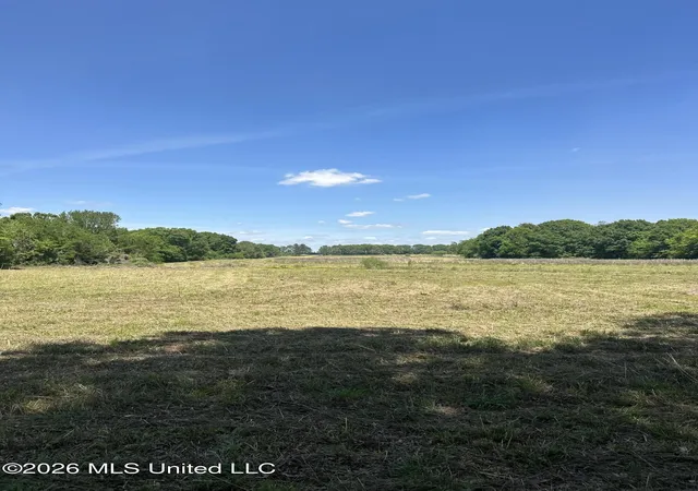 Photo 1 of Land for sale at Holly Bush Rd, Brandon, MS 39047 | MLS# 4147831 | Listing updated on 2026-05-01