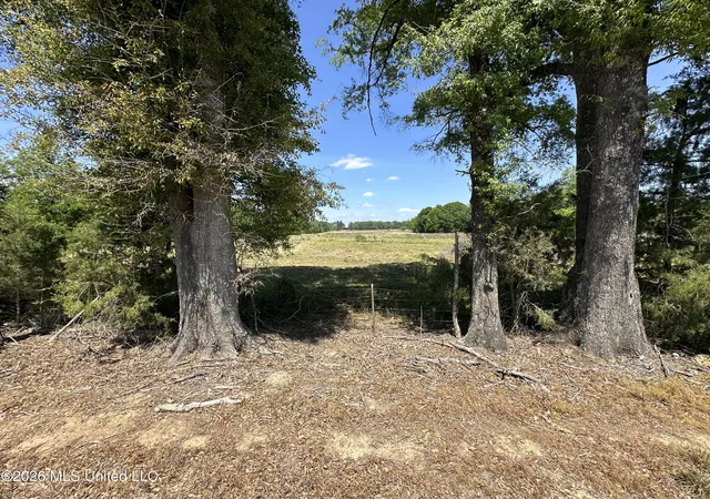 Photo 2 of Land for sale at Holly Bush Rd, Brandon, MS 39047 | MLS# 4147831 | Listing updated on 2026-05-01