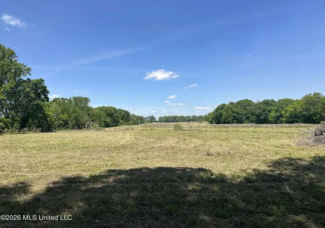 Photo 4 of Land for sale at Holly Bush Rd, Brandon, MS 39047 | MLS# 4147831 | Listing updated on 2026-05-01
