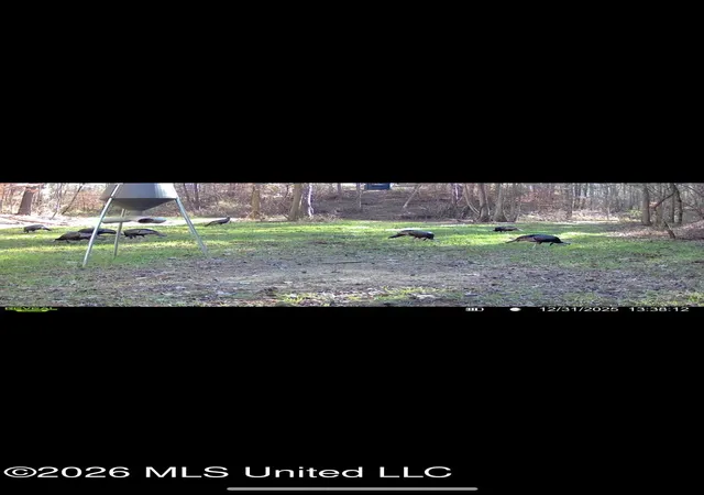 Photo 54 of Land for sale at 000 Furrs Ml Dr Ne, Wesson, MS 39191 | MLS# 4148133 | Listing updated on 2026-07-23