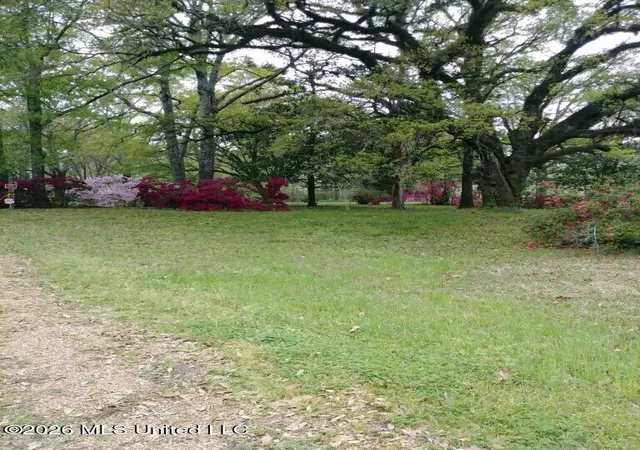 Homes for sale in Woodville, MS | 2010 Jackson Louisiana Rd, Woodville, MS 39669 | MLS# 4147881