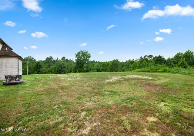 25th image of 356 Poplar Ln, Holly Springs, MS 38635 | MLS# 4147975