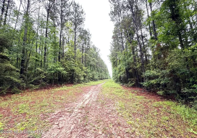 Homes for sale in Magnolia, MS | 000 Emerald State Line Rd, Magnolia, MS 39652 | MLS# 4148014