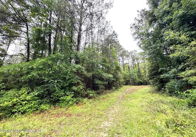 Homes for sale in Magnolia, MS | 000 Emerald State Line Rd, Magnolia, MS 39652 | MLS# 4148014