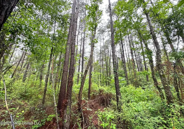 Homes for sale in Magnolia, MS | 000 Emerald State Line Rd, Magnolia, MS 39652 | MLS# 4148014