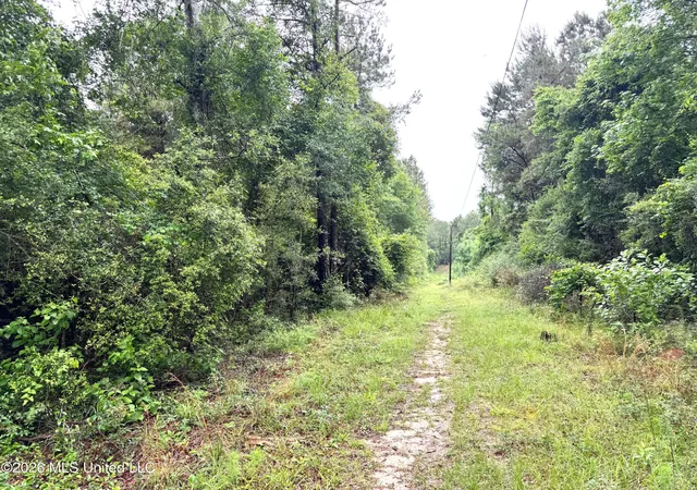 Homes for sale in Magnolia, MS | 000 Emerald State Line Rd, Magnolia, MS 39652 | MLS# 4148014
