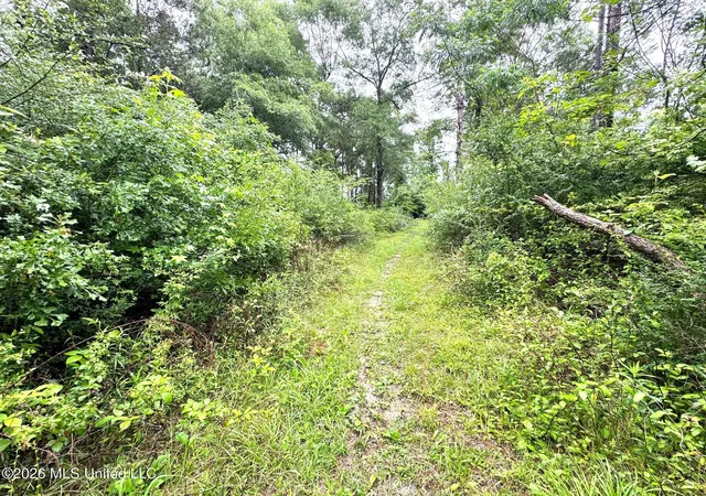 Homes for sale in Magnolia, MS | 000 Emerald State Line Rd, Magnolia, MS 39652 | MLS# 4148014
