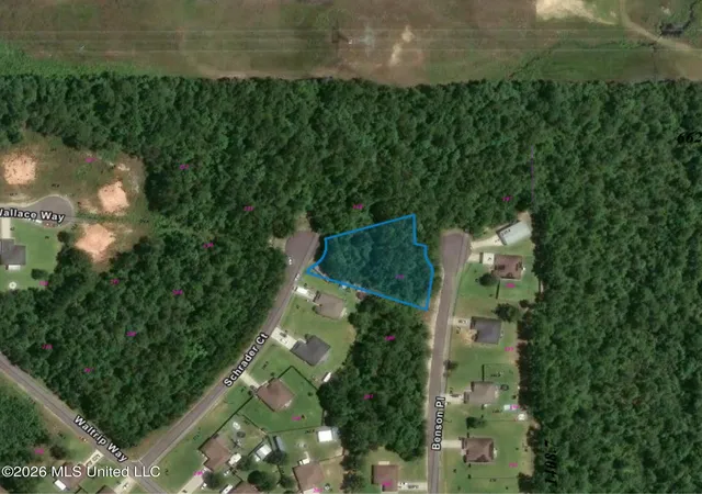 Photo 2 of Land for sale at 0 Schrader Ct, Saucier, MS 39574 | MLS# 4148146 | Listing updated on 2026-09-04