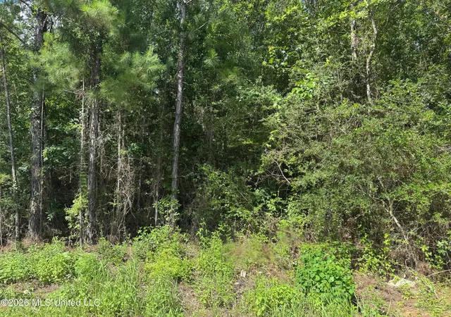 Photo 1 of Land for sale at 0 Schrader Ct, Saucier, MS 39574 | MLS# 4148146 | Listing updated on 2026-09-04