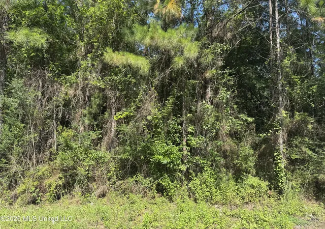 Photo 1 of Land for sale at 00 Schrader Ct, Saucier, MS 39574 | MLS# 4148147 | Listing updated on 2026-09-04