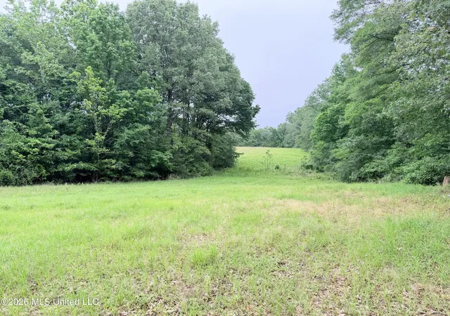 Homes for sale in Utica, MS | 0 Hwy 18 Rd, Utica, MS 39175 | MLS# 4148740