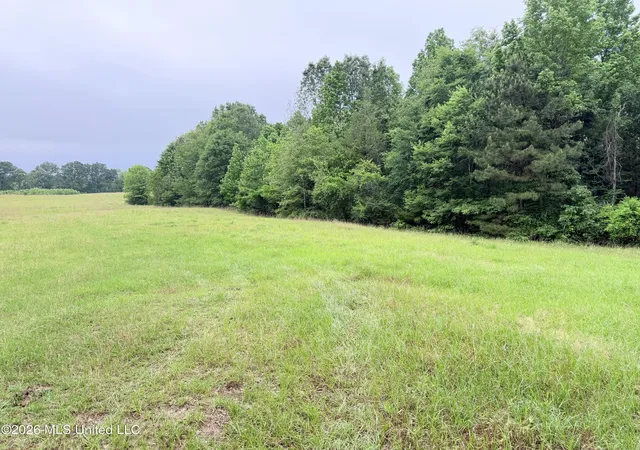 Homes for sale in Utica, MS | 0 Hwy 18 Rd, Utica, MS 39175 | MLS# 4148740