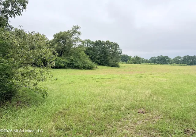 Homes for sale in Utica, MS | 0 Hwy 18 Rd, Utica, MS 39175 | MLS# 4148740