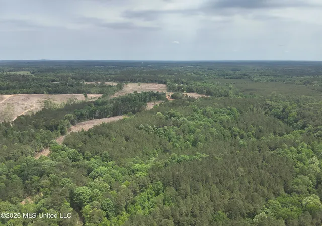 Photo 3 of Sale Pending at Smith County Rd 559, Pulaski, MS 39152 | MLS# 4148261 | Listing updated on 2026-08-18