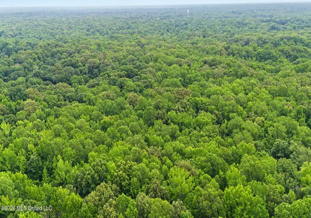 Homes for sale in Hernando, MS | Tanyard Rd, Hernando, MS 38632 | MLS# 4148278