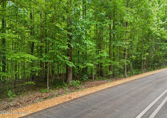 Homes for sale in Hernando, MS | Tanyard Rd, Hernando, MS 38632 | MLS# 4148278