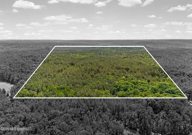 Photo 2 of Land for sale at 202 Powell Chapel Rd, Holly Springs, MS 38635 | MLS# 4149192 | Listing updated on 2026-07-02