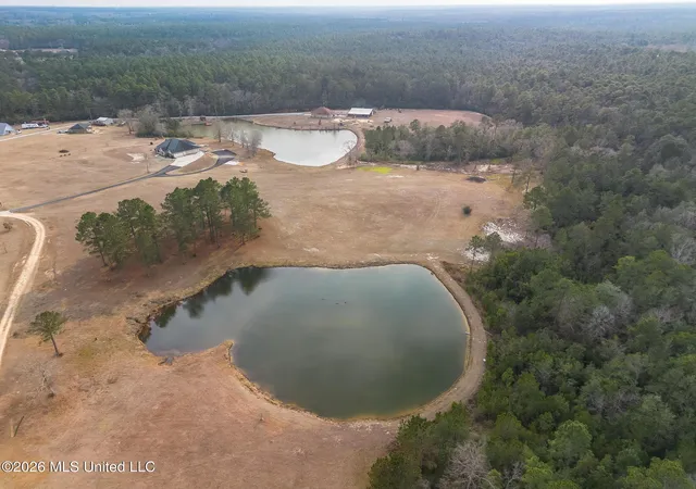 Homes for sale in Mc Henry, MS | Lots 4,5,6 Kahler Ln, Mc Henry, MS 39561 | MLS# 4148475