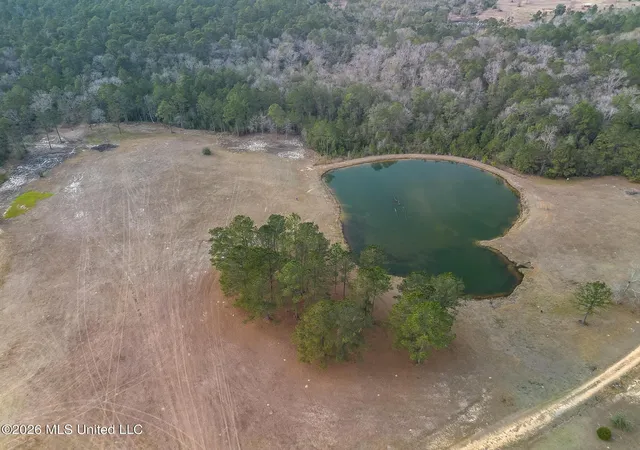 Homes for sale in Mc Henry, MS | Lots 4,5,6 Kahler Ln, Mc Henry, MS 39561 | MLS# 4148475