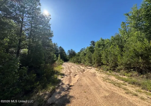 Photo 3 of Land for sale at Highway 43, Poplarville, MS 39470 | MLS# 4148496 | Listing updated on 2026-05-06