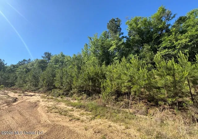 Photo 3 of Land for sale at Highway 43, Poplarville, MS 39470 | MLS# 4148496 | Listing updated on 2026-05-06