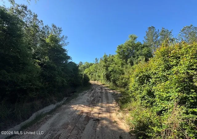 Photo 4 of Land for sale at Highway 43, Poplarville, MS 39470 | MLS# 4148496 | Listing updated on 2026-05-06