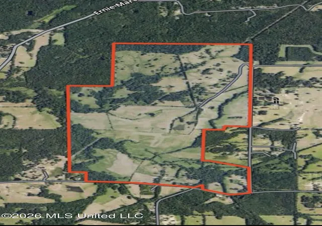Homes for sale in Utica, MS | 3084 Tom Collins Rd, Utica, MS 39175 | MLS# 4148670