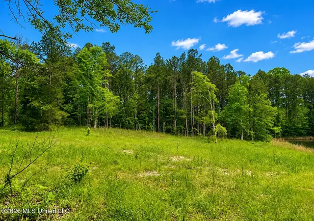 Homes for sale in Pelahatchie, MS | Niki Ln, Pelahatchie, MS 39145 | MLS# 4148788
