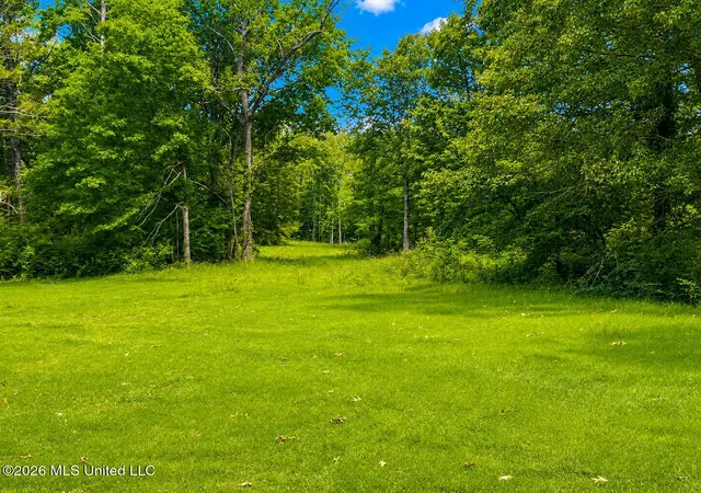 Photo 3 of Land for sale at Niki Ln, Pelahatchie, MS 39145 | MLS# 4148788 | Listing updated on 2026-06-23
