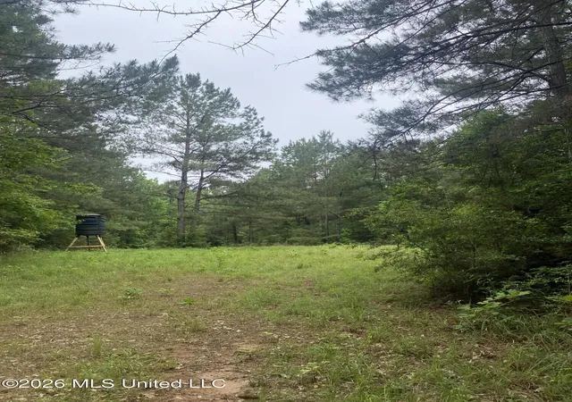 Homes for sale in Gloster, MS | Tbd 48 Ne S Of St, Gloster, MS 39638 | MLS# 4148705