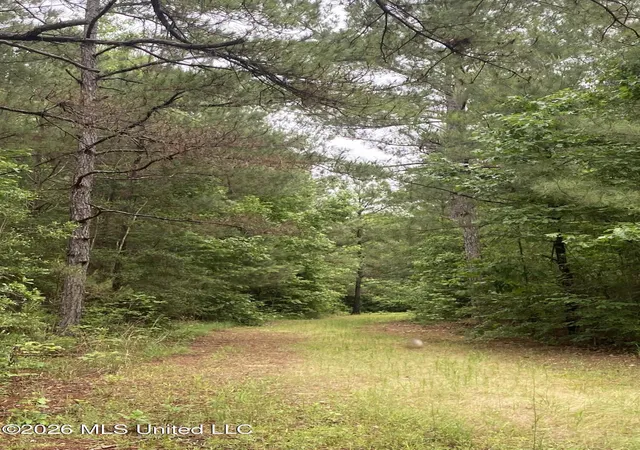 Homes for sale in Gloster, MS | Tbd 48 Ne S Of St, Gloster, MS 39638 | MLS# 4148705
