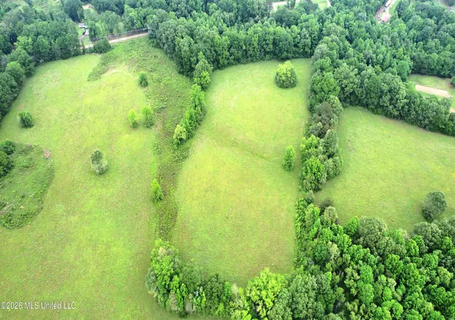 Homes for sale in Utica, MS | 0 Tom Collins Rd, Utica, MS 39175 | MLS# 4148736