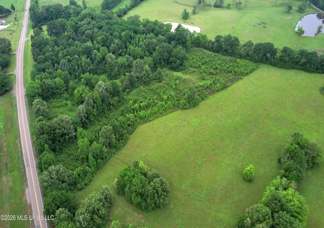 Homes for sale in Utica, MS | 0 Tom Collins Rd, Utica, MS 39175 | MLS# 4148736
