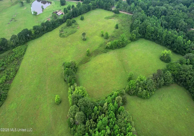 Homes for sale in Utica, MS | 0 Tom Collins Rd, Utica, MS 39175 | MLS# 4148736