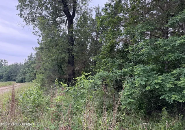Homes for sale in Natchez, MS | Tbd Hall Rd, Natchez, MS 39120 | MLS# 4148795