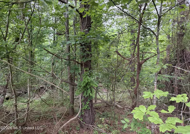 Homes for sale in Natchez, MS | Tbd Hall Rd, Natchez, MS 39120 | MLS# 4148795