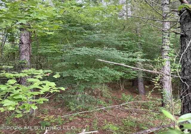 Homes for sale in Natchez, MS | Tbd Hall Rd, Natchez, MS 39120 | MLS# 4148795