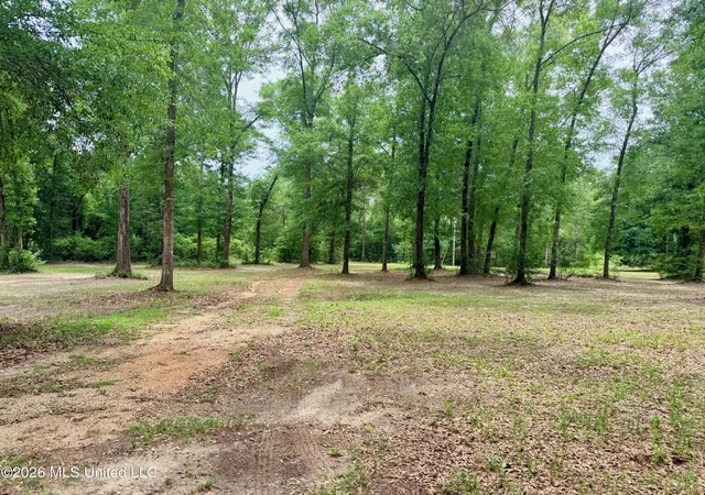 32nd image of 181 Geiger Rd, Lucedale, MS 39452 | MLS# 4157688