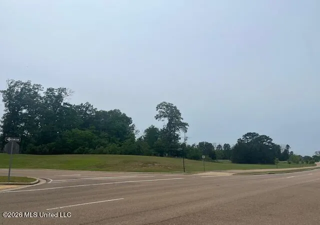 Photo 3 of Land for sale at Se Colony Park Blvd, Ridgeland, MS 39157 | MLS# 4148851 | Listing updated on 2026-08-25