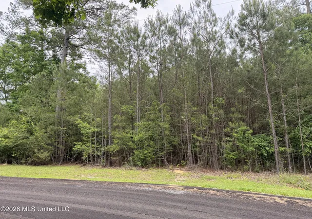 Photo 2 of Land for sale at Claudette Ln, Mc Comb, MS 39648 | MLS# 4148832 | Listing updated on 2026-05-09