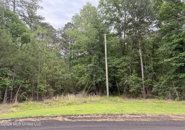 Photo 3 of Land for sale at Claudette Ln, Mc Comb, MS 39648 | MLS# 4148832 | Listing updated on 2026-05-09