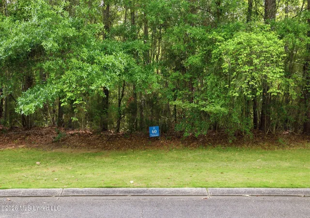 Homes for sale in Biloxi, MS | Lot 60 Middleton Pl, Biloxi, MS 39532 | MLS# 4148905