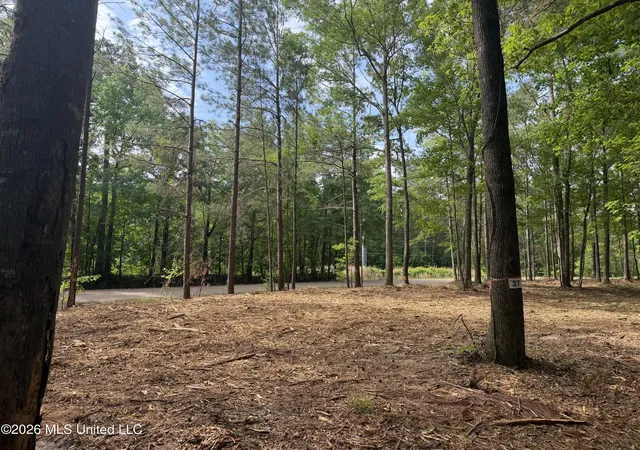 Photo 1 of Land for sale at Evergreen Dr, Brandon, MS 39042 | MLS# 4149036 | Listing updated on 2026-05-16