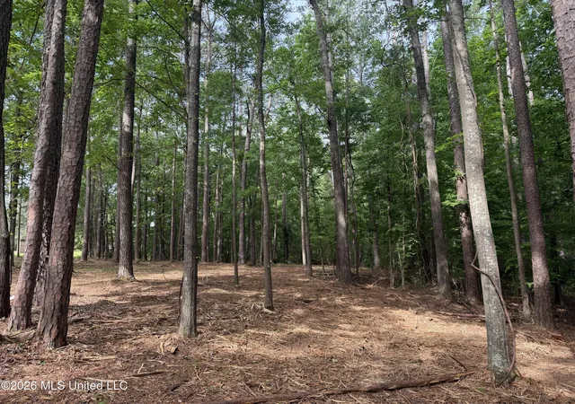 Photo 2 of Land for sale at Evergreen Dr, Brandon, MS 39042 | MLS# 4149036 | Listing updated on 2026-05-16
