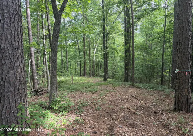 Photo 3 of Land for sale at Evergreen Dr, Brandon, MS 39042 | MLS# 4149036 | Listing updated on 2026-05-16